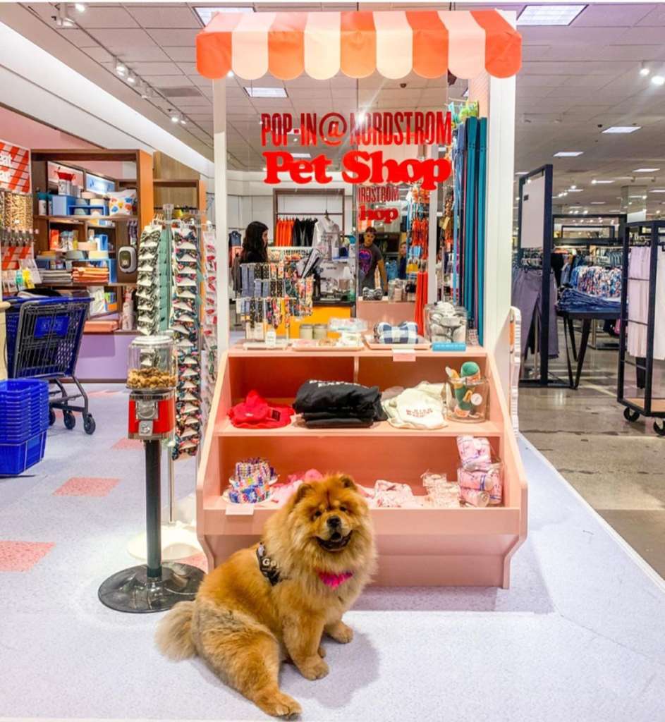 pop-up pet shop at Nordstrom