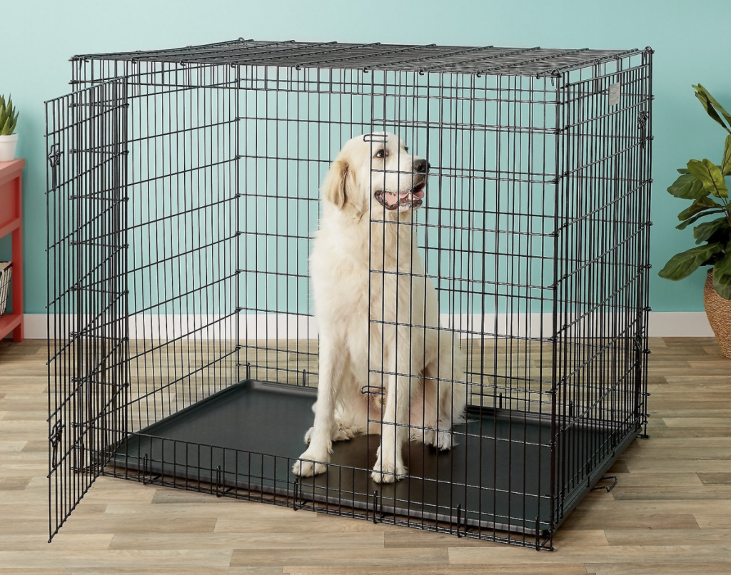Midwest solutions extra large dog crate