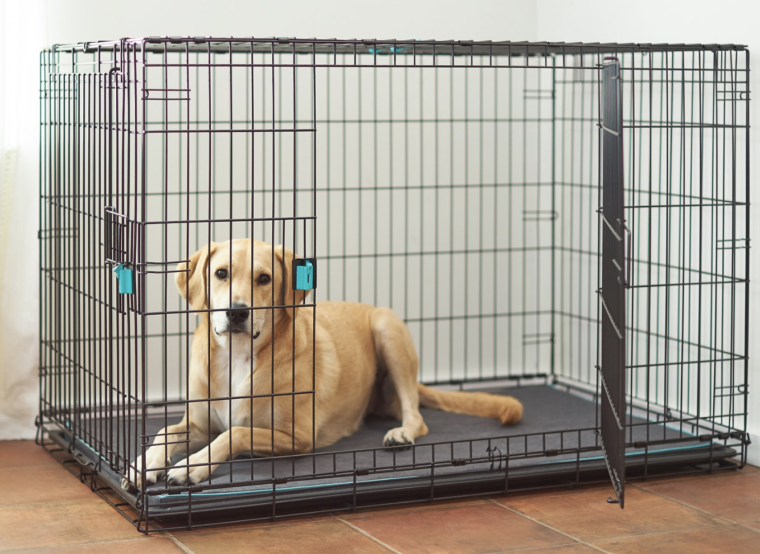 The Best Crates For Large Dogs BARK Post