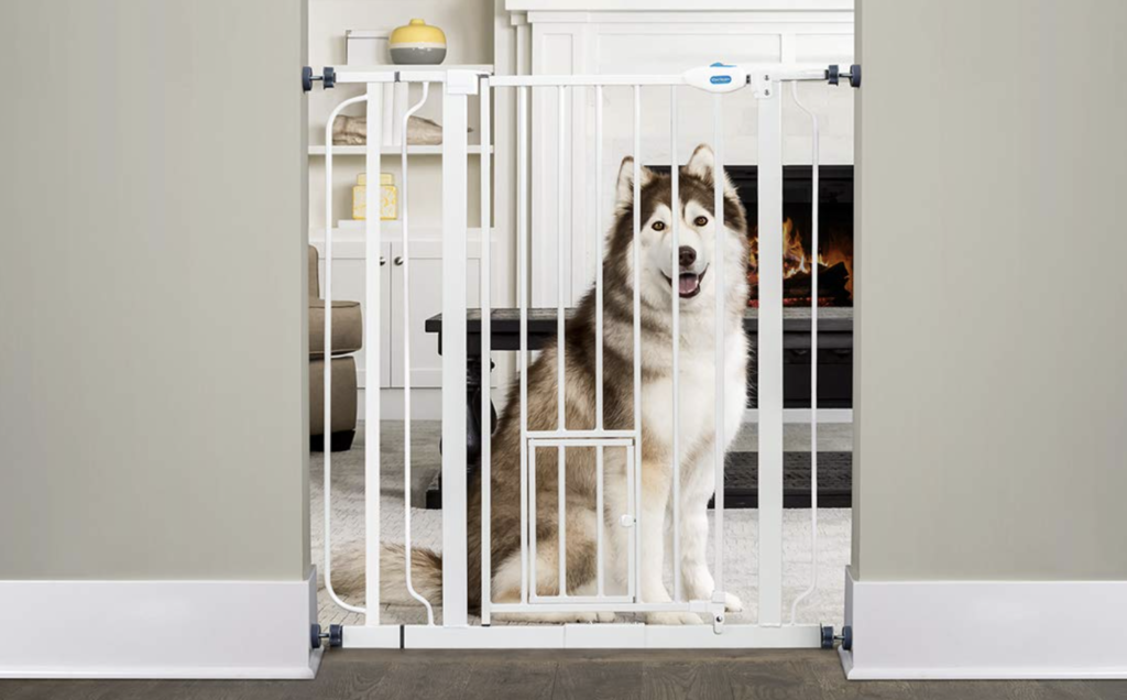 extra tall gates for large dogs