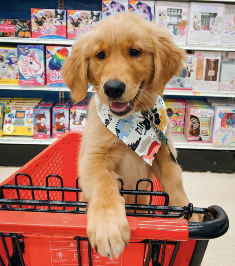 35 Dog-Friendly Stores