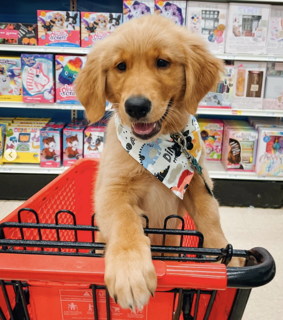 35 Dog Friendly Stores