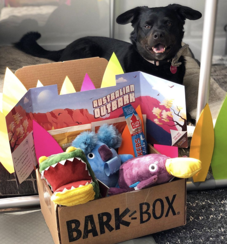 Is BarkBox Worth It? What Comes Inside, Pricing, & More BARK Post