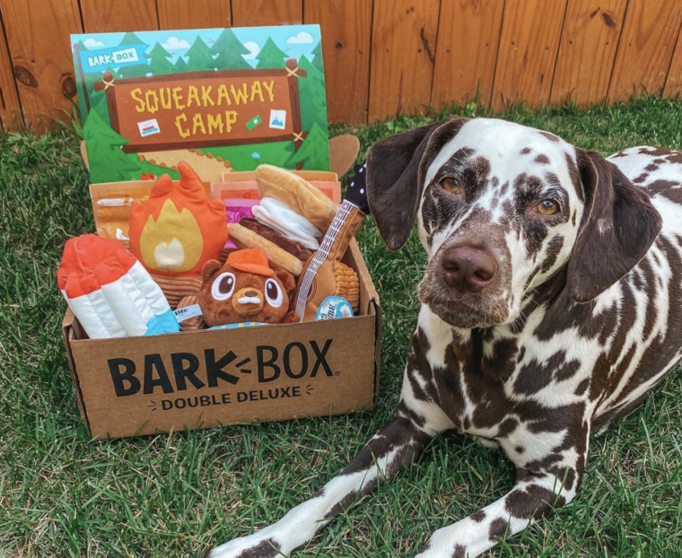 Is BarkBox Worth It? What Comes Inside, Pricing, & More - BARK Post