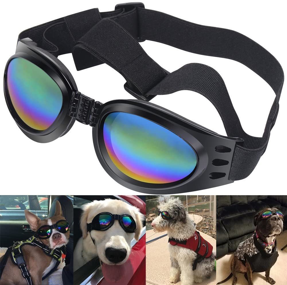 QUMY googles for dogs and a series of dogs wearing the googles