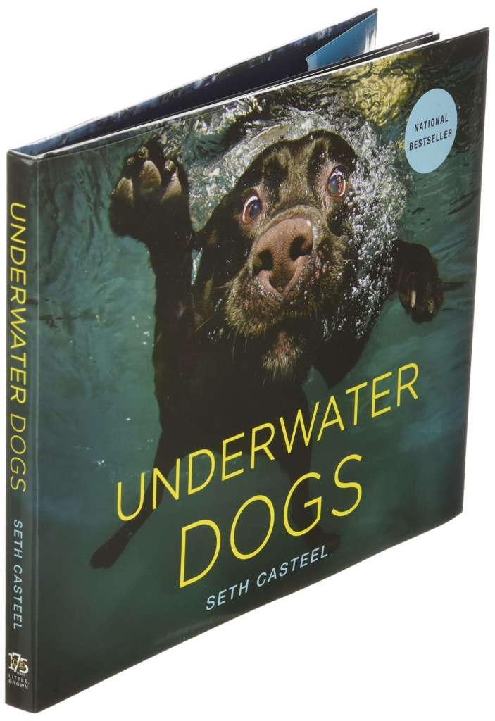picture book of underwater dogs