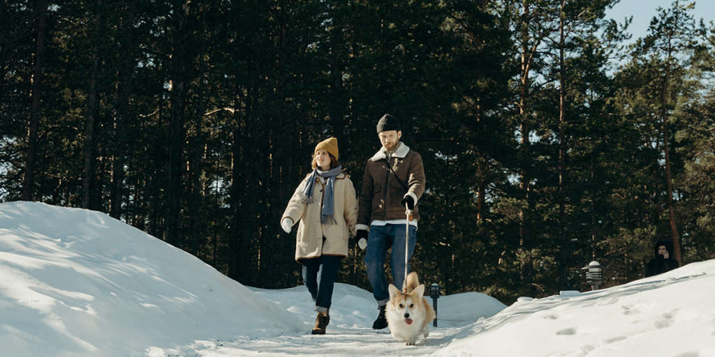 couple taking their corgi on a winter walk