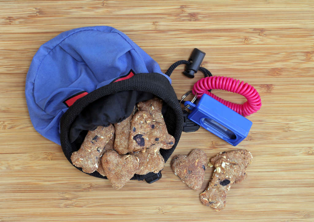 bag of dog treats and a clicker for training