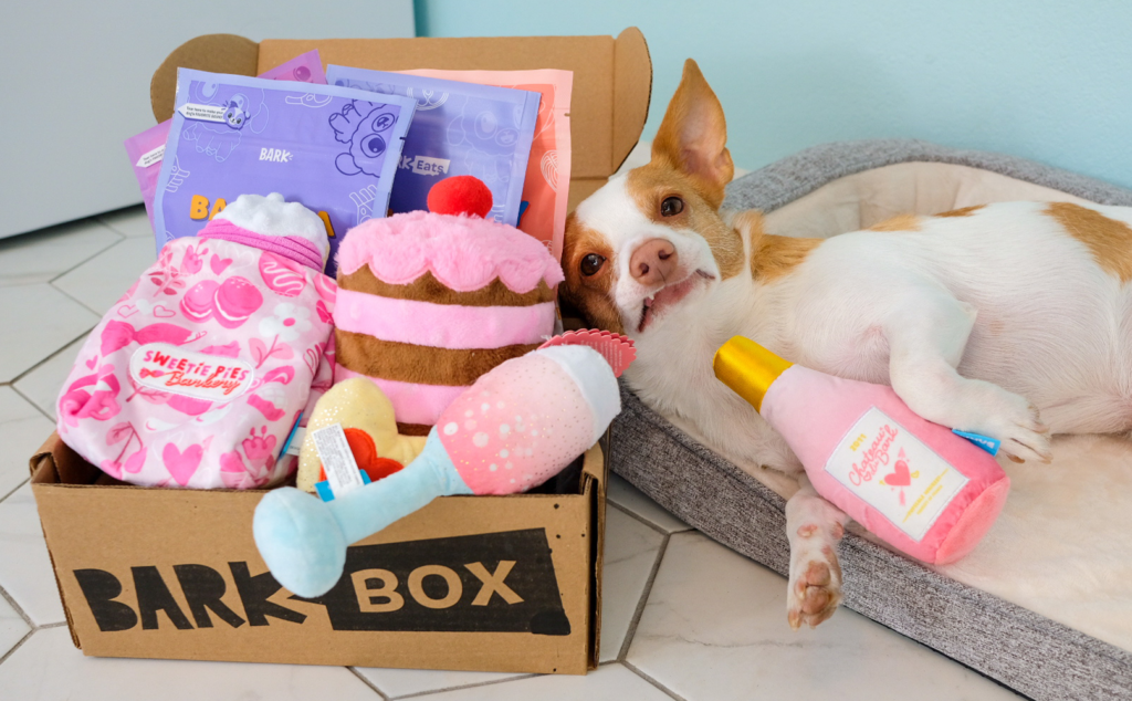 a happy puppy with its barkbox full of toys and treats