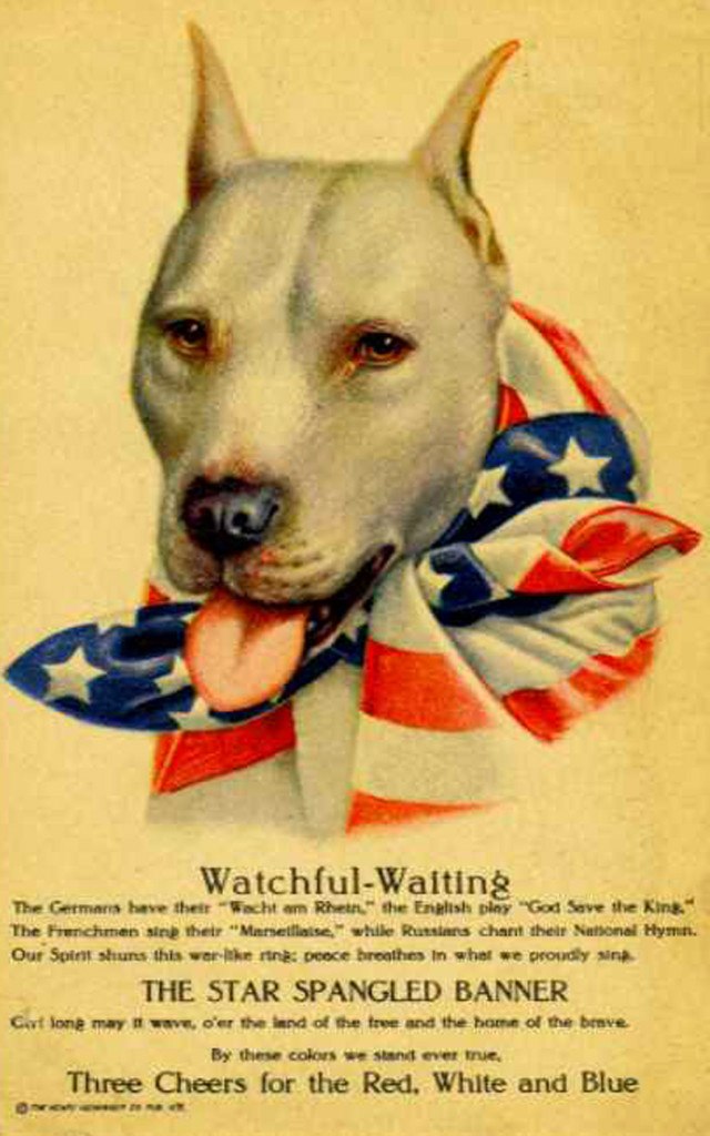 Patritoic advertisement featuring a pit bull.