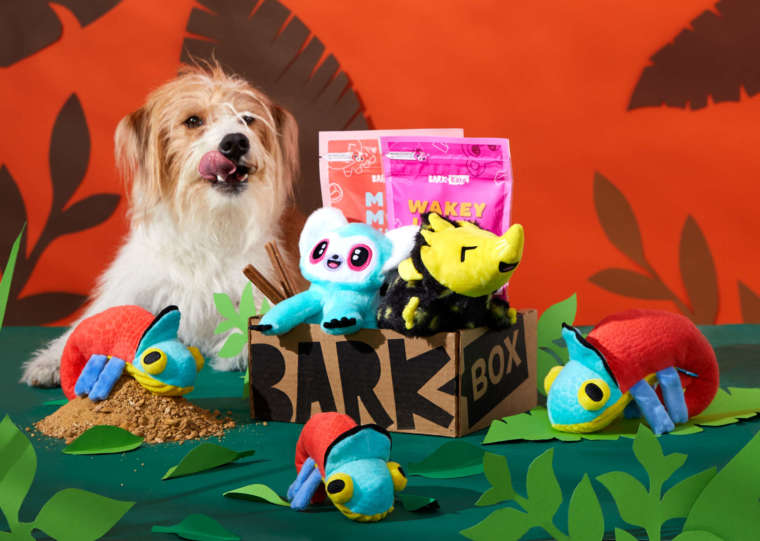 BarkBox March 2022 Theme Madagascar Unleashed BARK Post