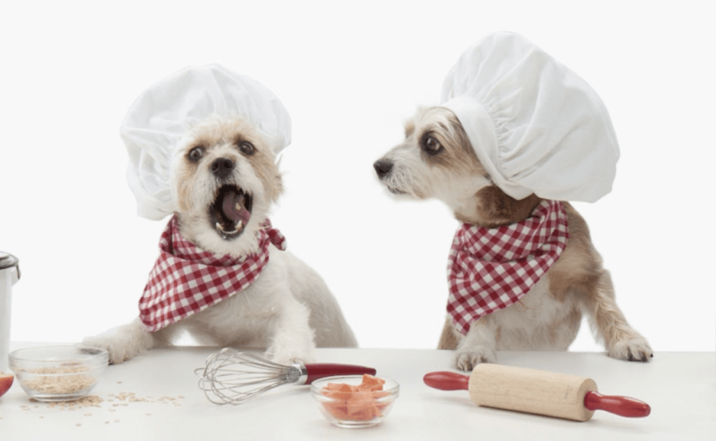 two dogs wearing chef hats with rolling pins