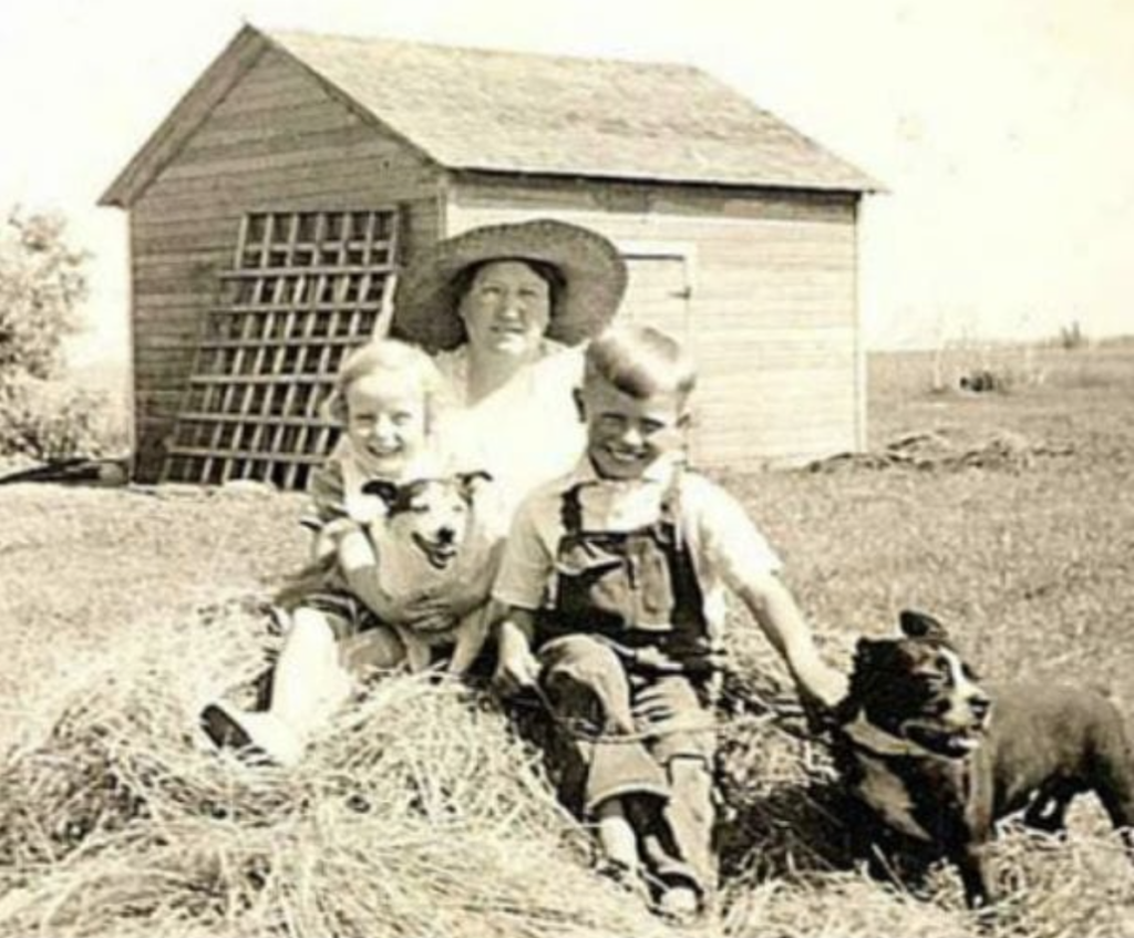 old photograph of a family and their pit bulls