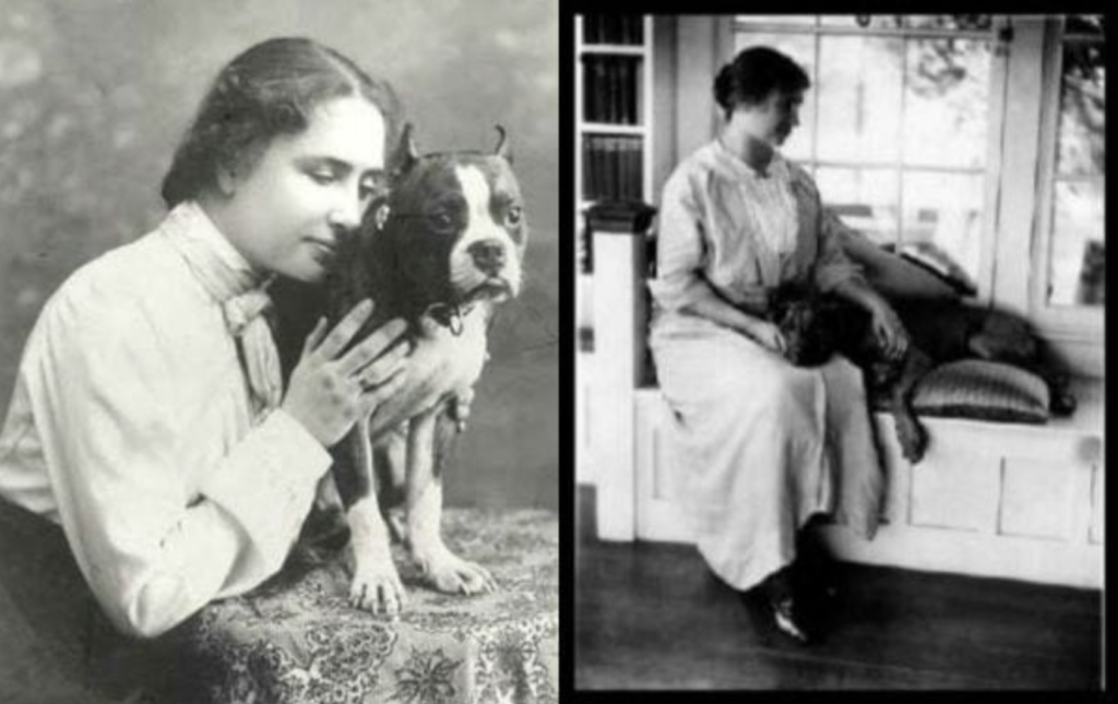 Helen Keller and her Boston Terrier