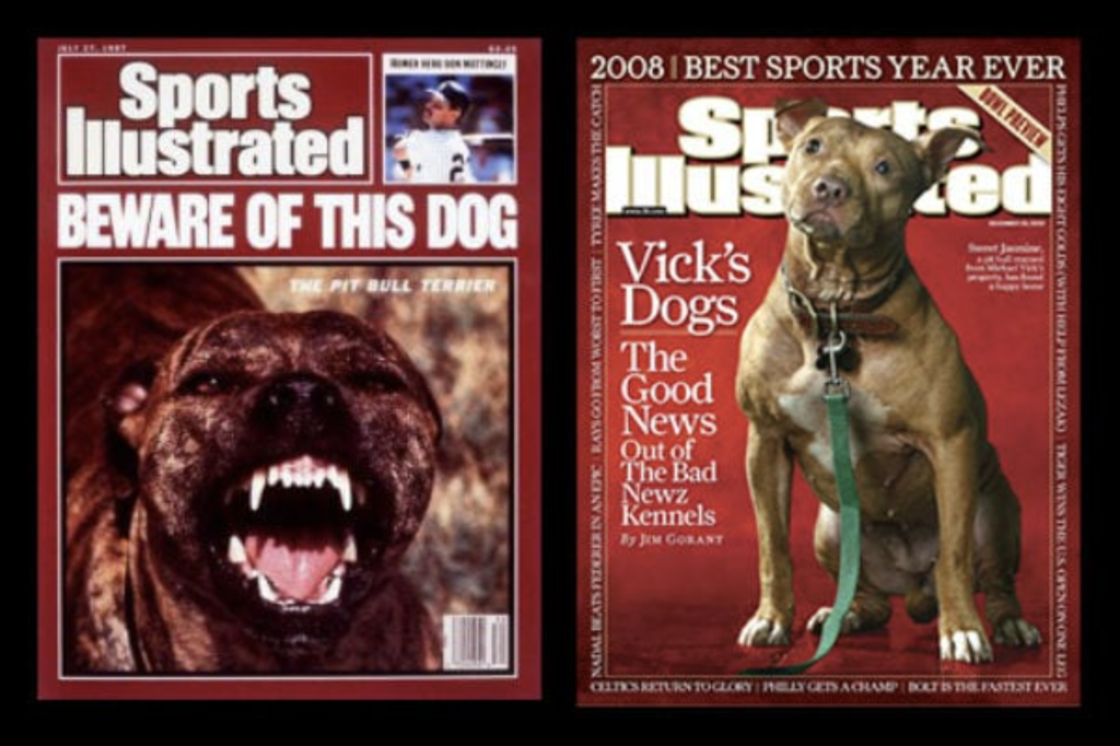 Sport Illustrated magazine featuring different opinions on pit bulls.