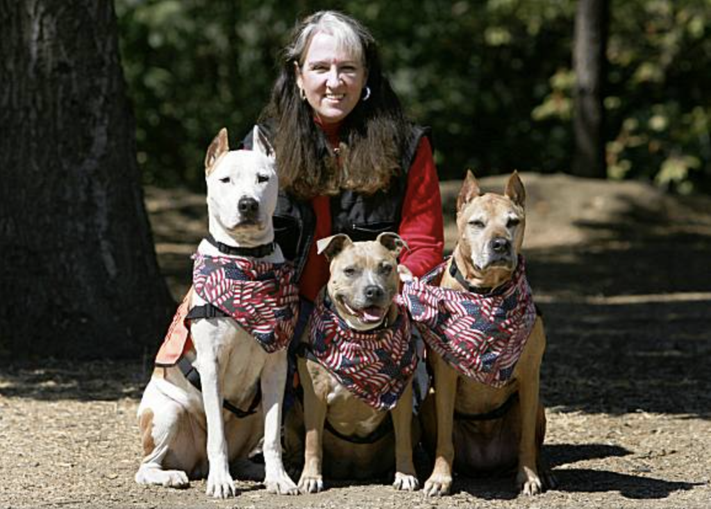 group of pit bulls wearing bandanas
