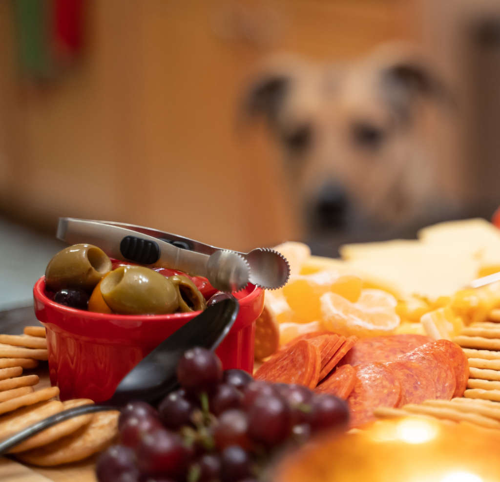 dog looking at a charcuterie board, including grapes.