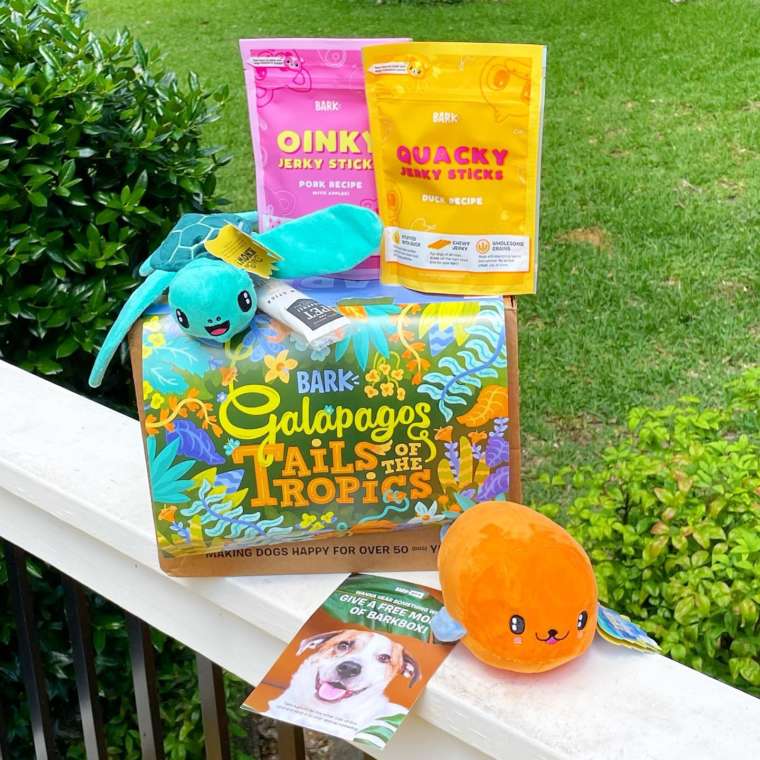 Is BarkBox Worth It? What Comes Inside, Pricing, & More BARK Post