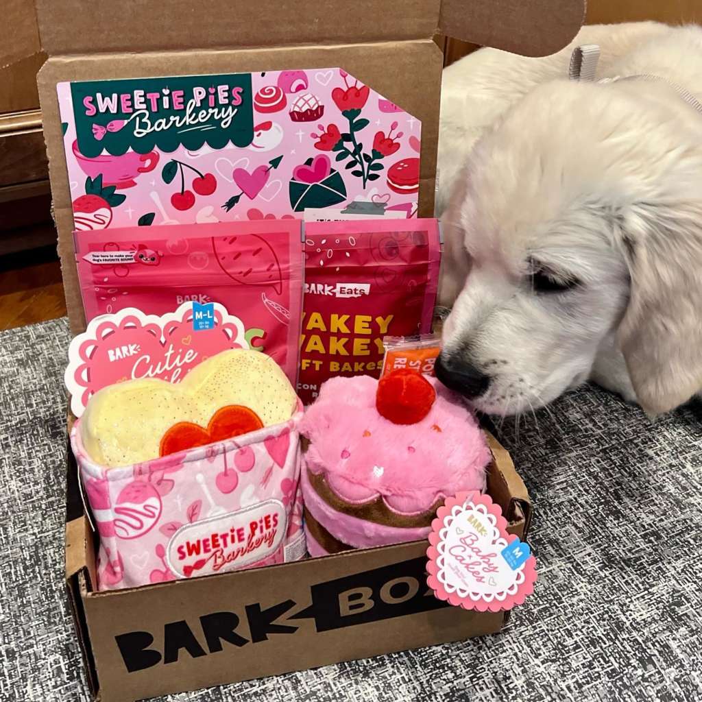 golden retriever with the sweetie pies themed barkbox