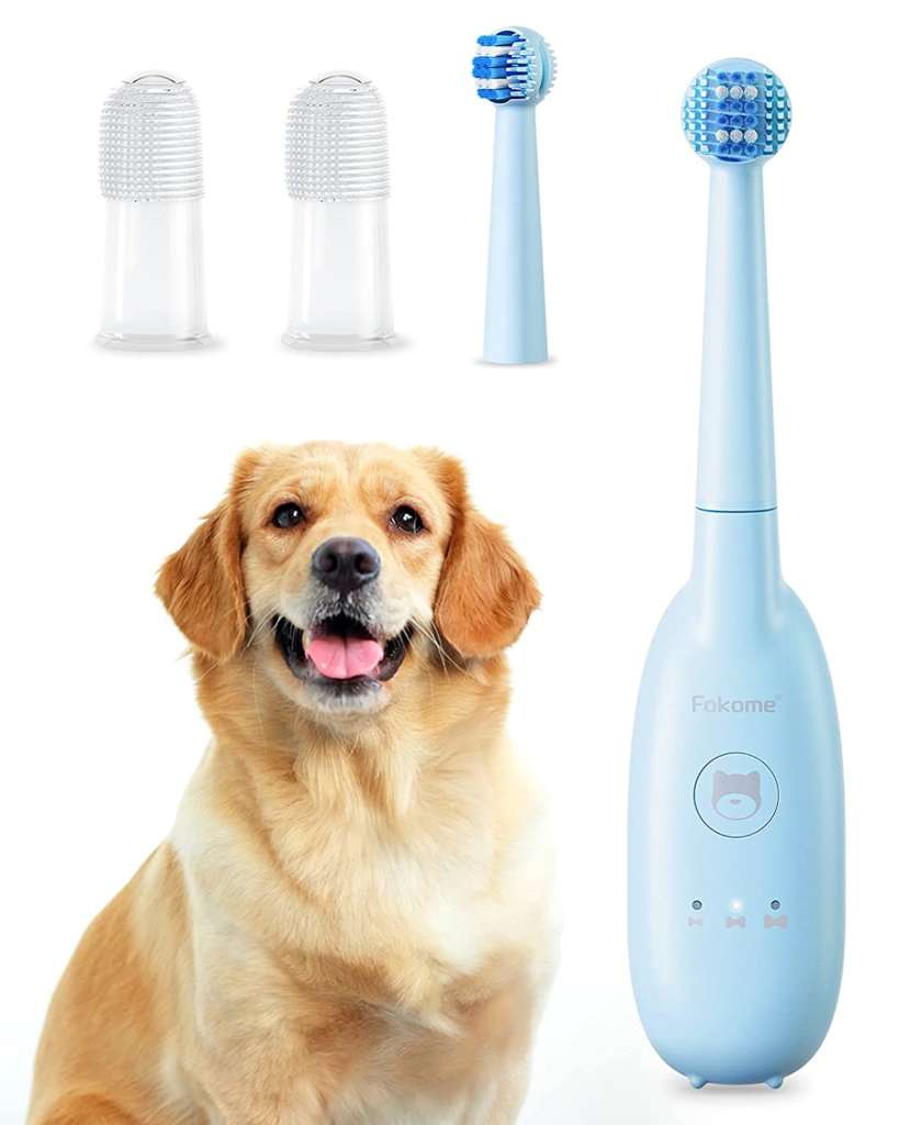 electric toothbrush for dogs