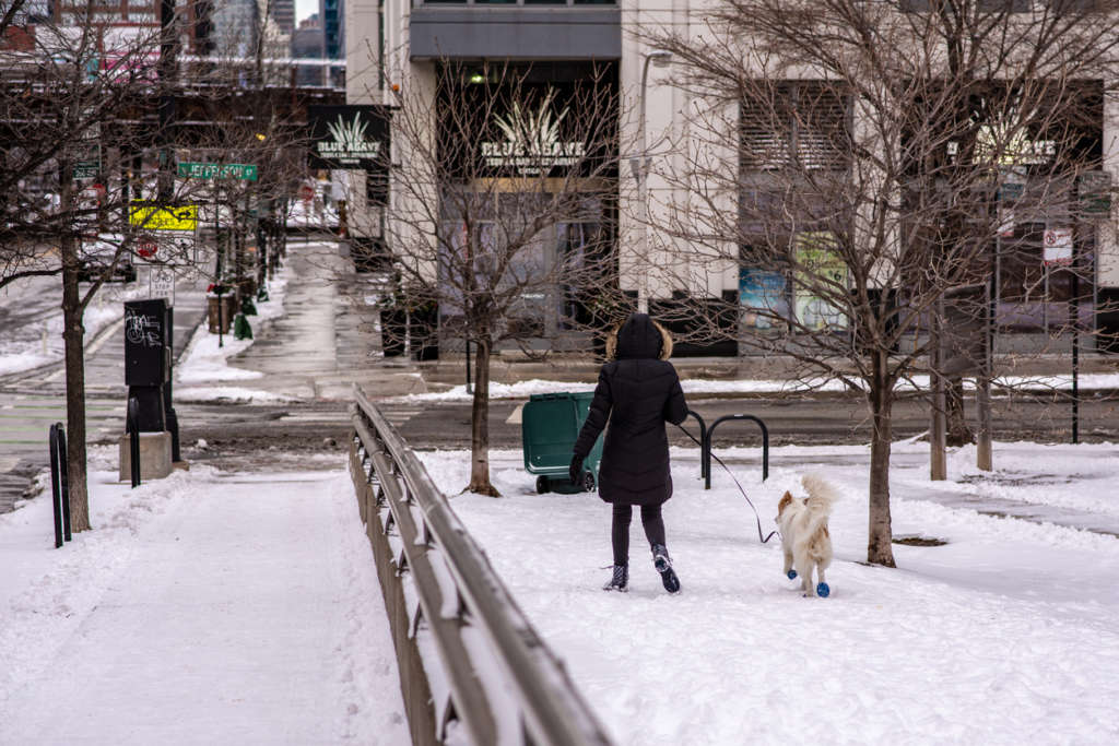 person walking their dog in a snowy city