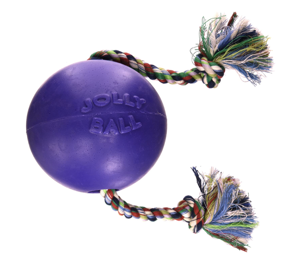 Jolly Pets romp and roll ball