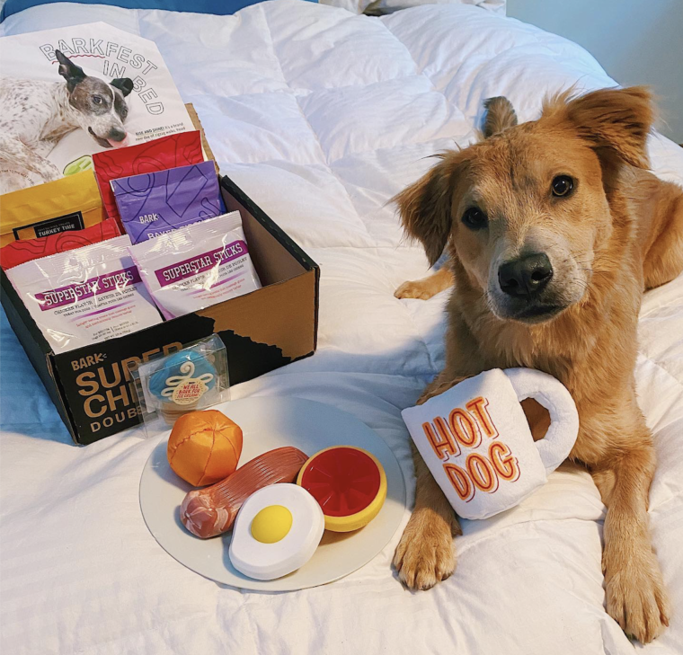 Is Super Chewer Worth It? What's Included, Pricing, and More! BARK Post