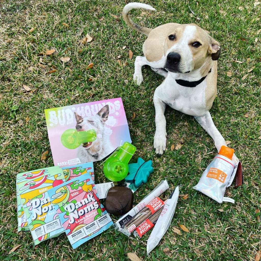 Mother's Day Gifts that Benefit Animal Rescue - The Broke Dog
