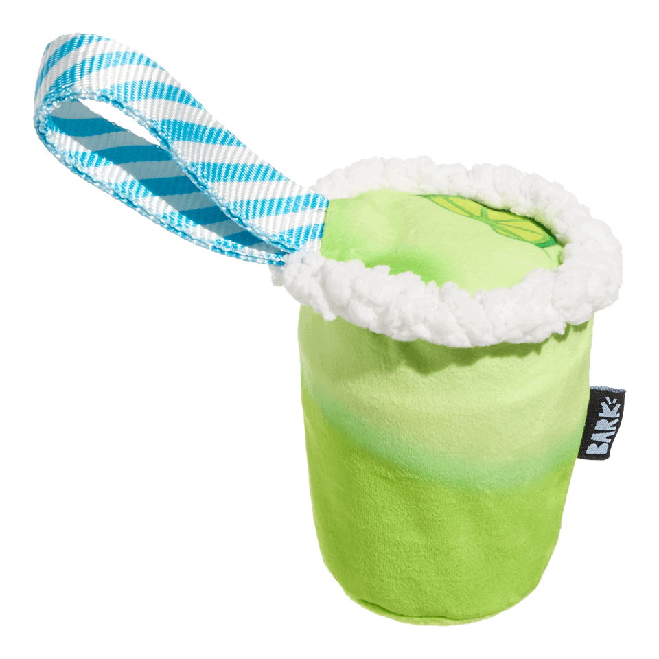 get ripped margarit dog toy from Pool Party themed Super Chewer box