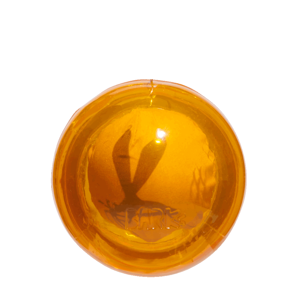 mosquito in amber toy from jurassic park themed super chewer box