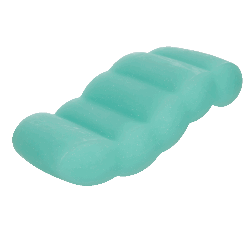 rock the float dog toy from Pool Party themed Super Chewer box