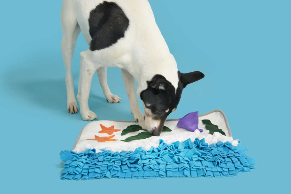 Bark Beachy Sandbark Snuffle Mat Dog Toy Hide Treats for sale