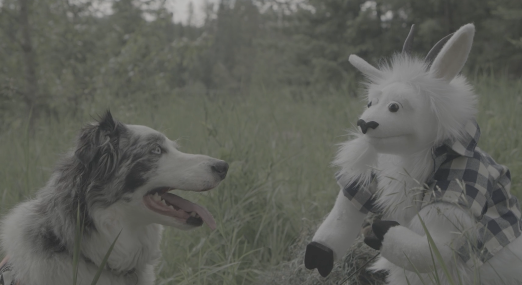 Bark Ranger' Helps Lick Dangerous Wildlife Encounters In National Park : NPR