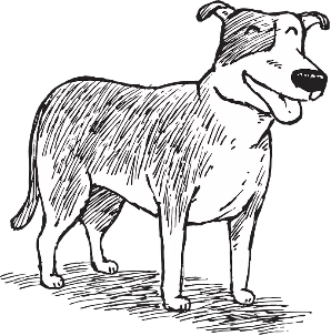 pit bull illustration