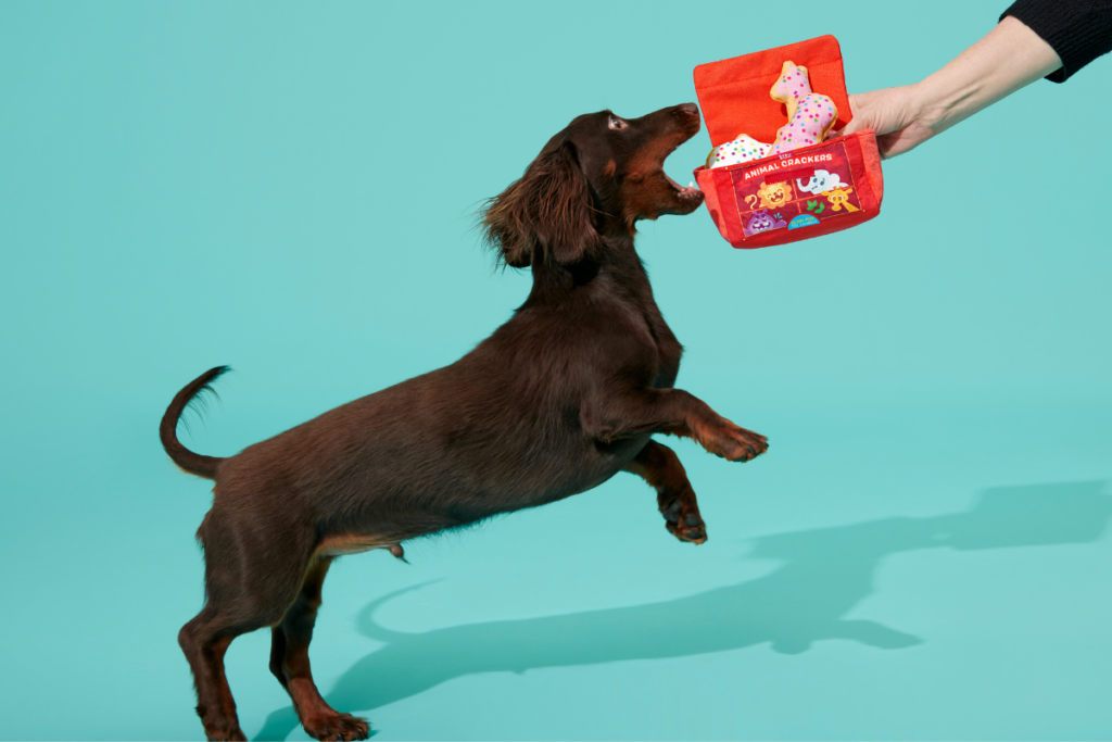 dachshund with animal crackers dog toy