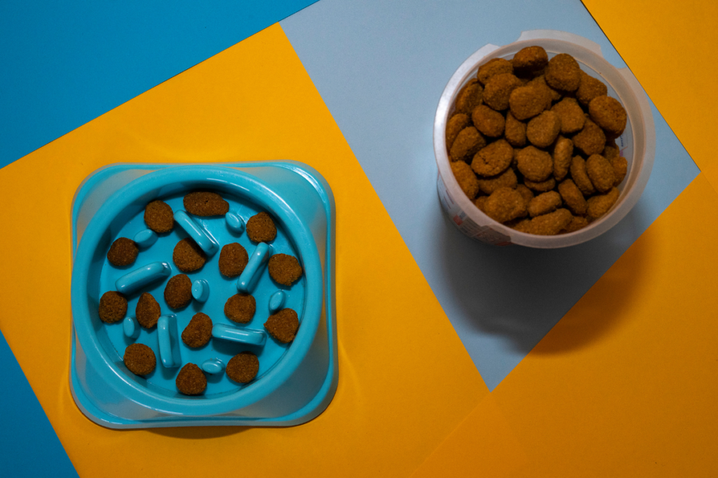 dog food in a slow feeder bowl