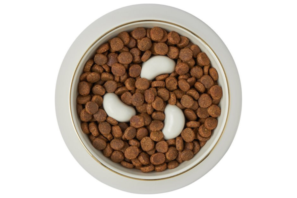 Frisco Melamine Slow Feed Dog & Cat Bowl With Gold Trim 
