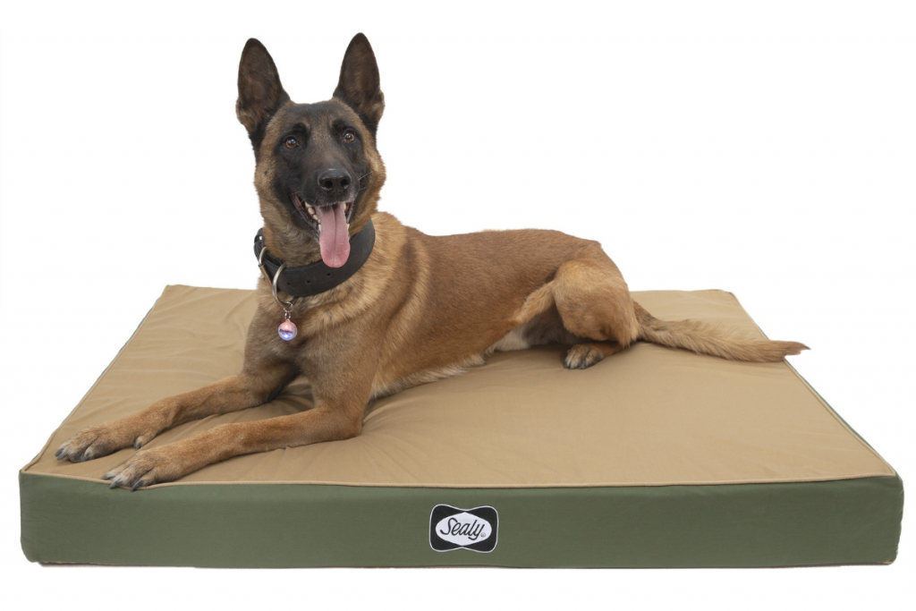  Sealy Defender Series With Cooling Memory Foam