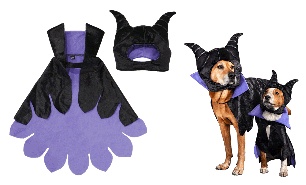 maleficent dog costume