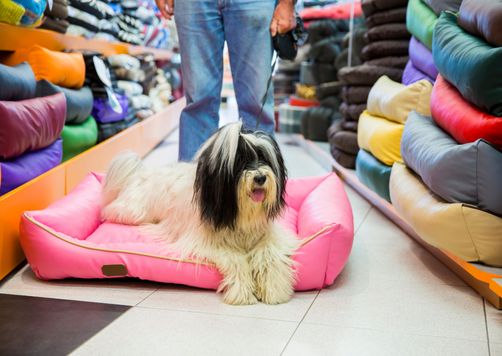 dog on a pink cooling mat
