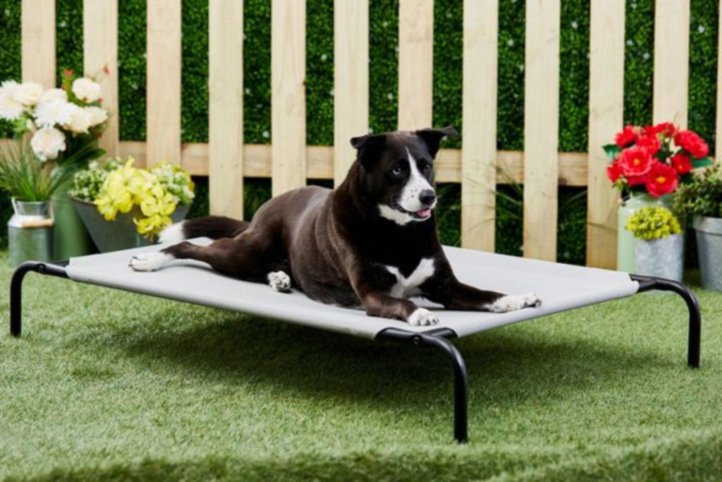 Frisco Steel-Framed Elevated Dog Bed