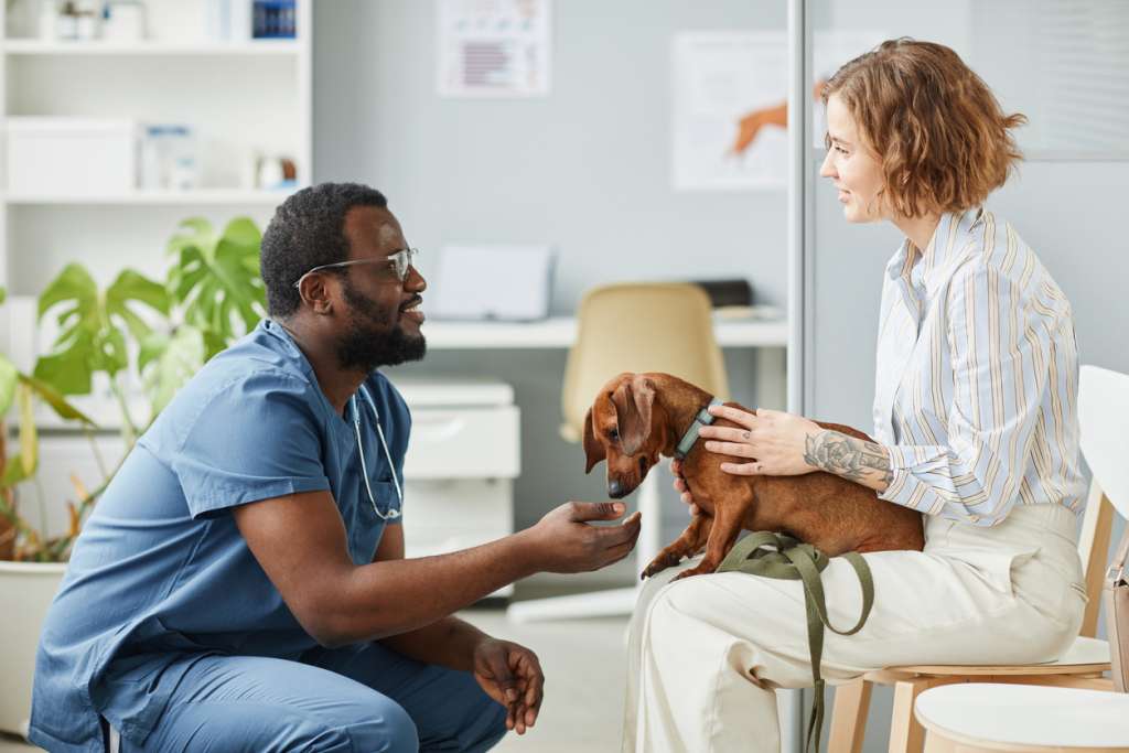 Pet owner and dachshund consulting with veterinarian 