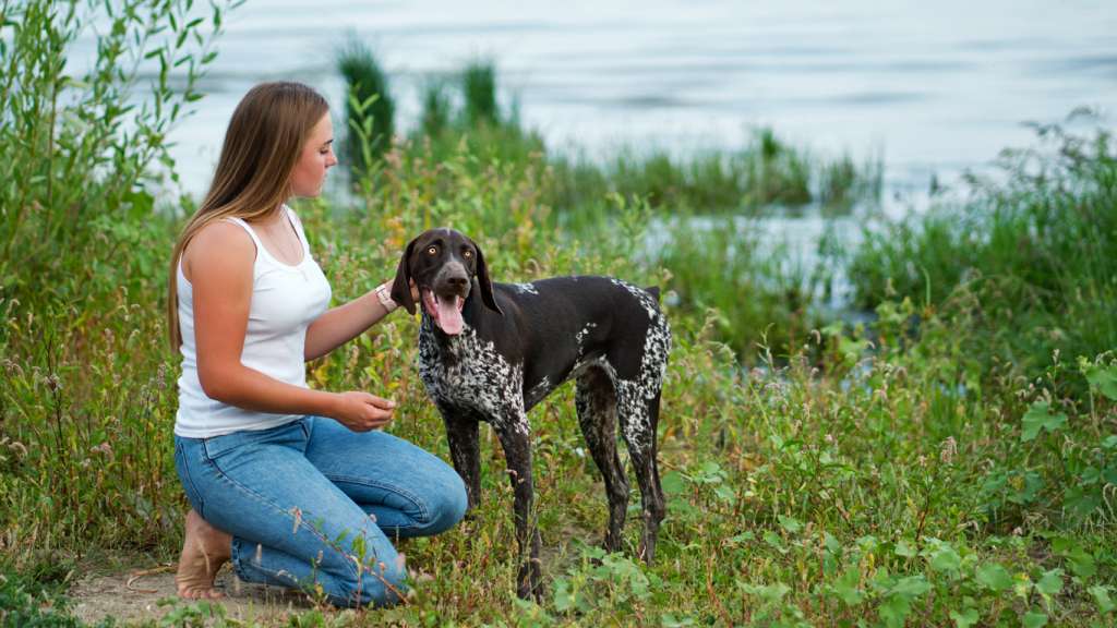 german shorthair pointer with owner near a river