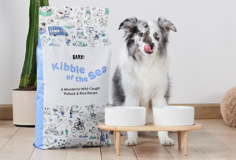 Australian Shepherd Breed Information Guide BARK Post