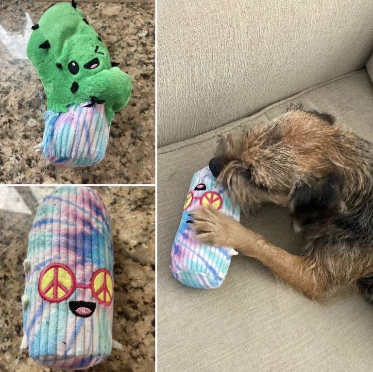 27 Times Your BarkBox Toys Had Hidden Bonus Toys Inside
