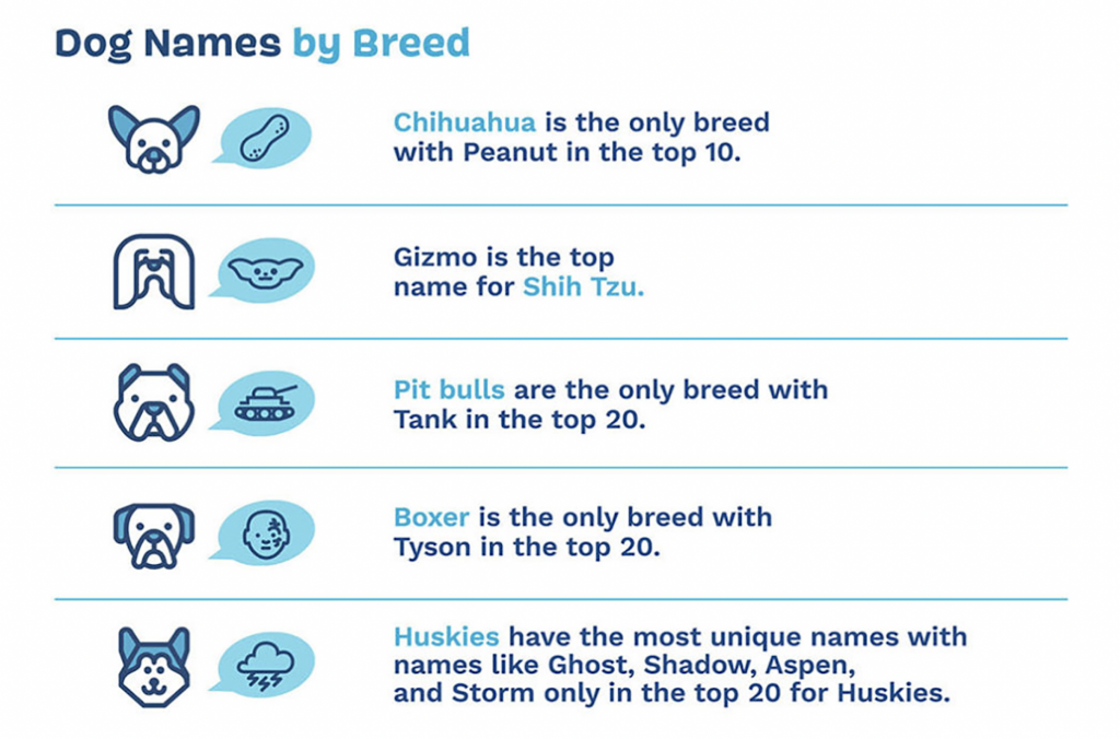America's most spoiled dog breeds revealed