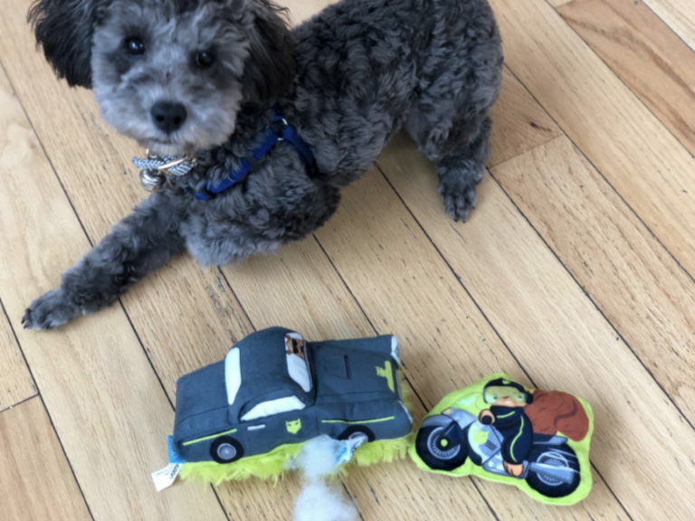 27 Times Your BarkBox Toys Had Hidden Bonus Toys Inside