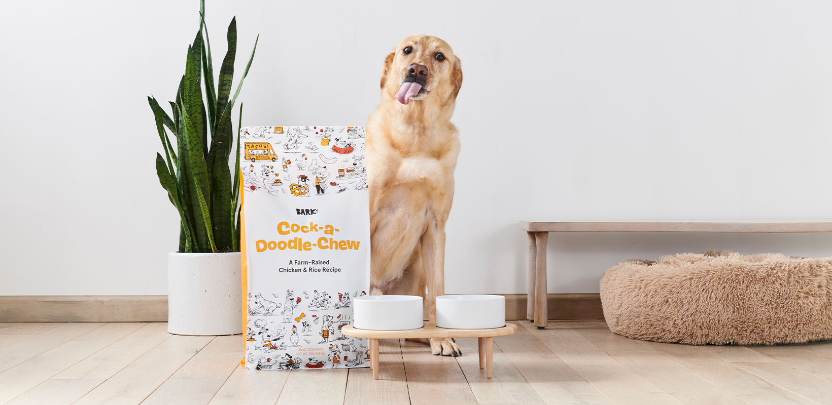 12 Must-Haves That'll Complete Every Dog Lover's Living Room - BARK Post