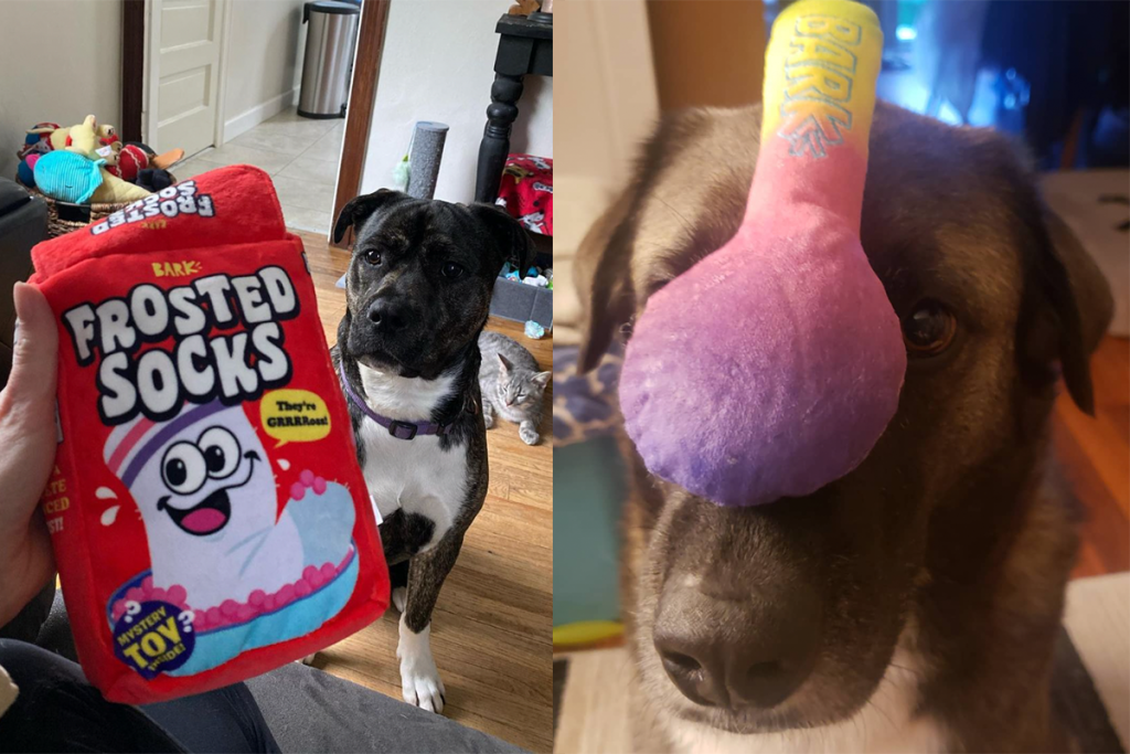 which barkbox toys have toys inside 2020