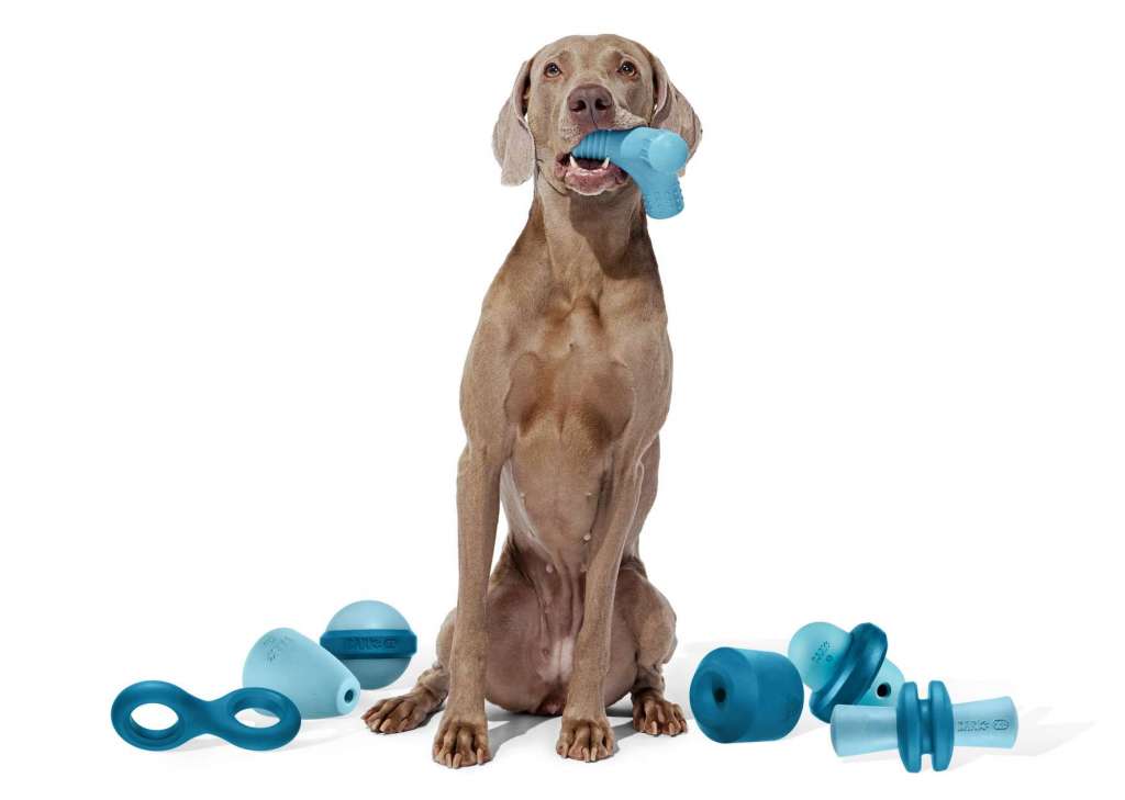 11 Best Dog Treat Dispensers For Your Dog (2020)